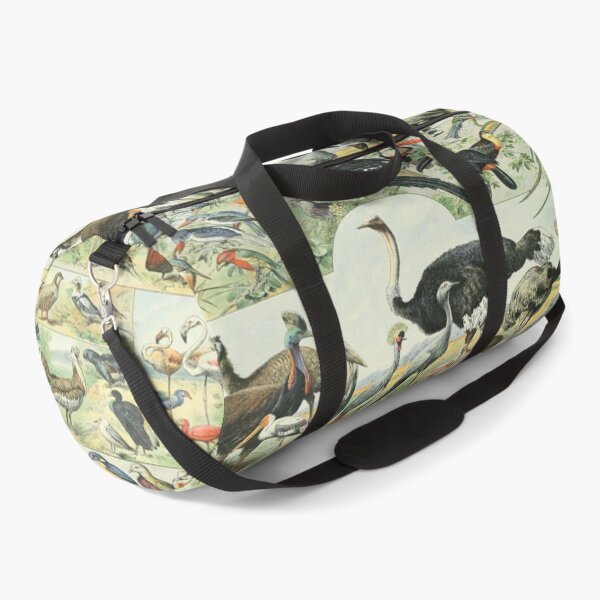 Item preview, Adolphe Millot Oiseaux D - Vintage Birds Illustration  designed and sold by molamode.