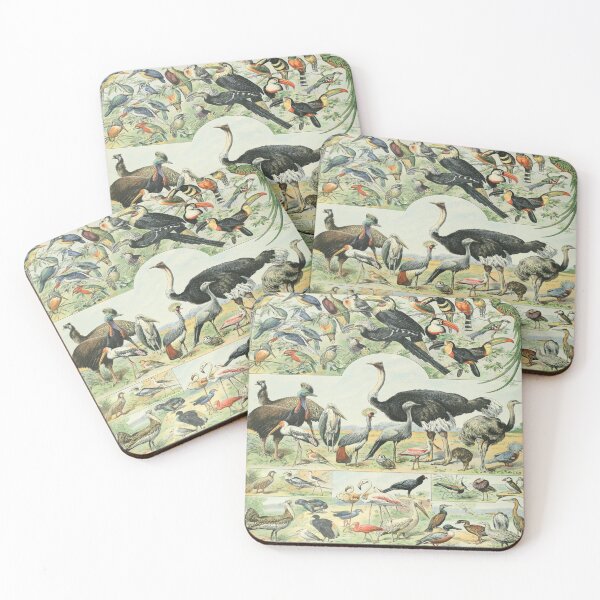 Item preview, Adolphe Millot Oiseaux D - Vintage Birds Illustration  designed and sold by molamode.