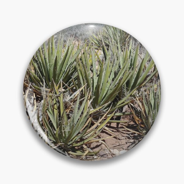 Item preview, Desert Plant designed and sold by SpilProofLiquid.