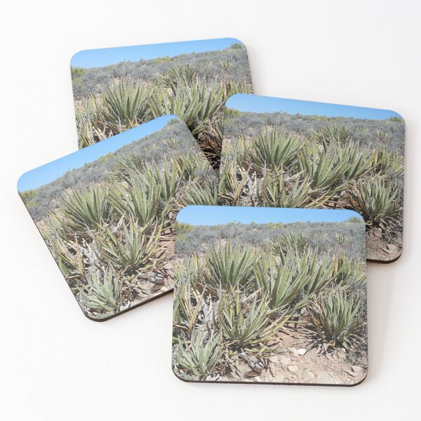Item preview, Desert Plant designed and sold by SpilProofLiquid.