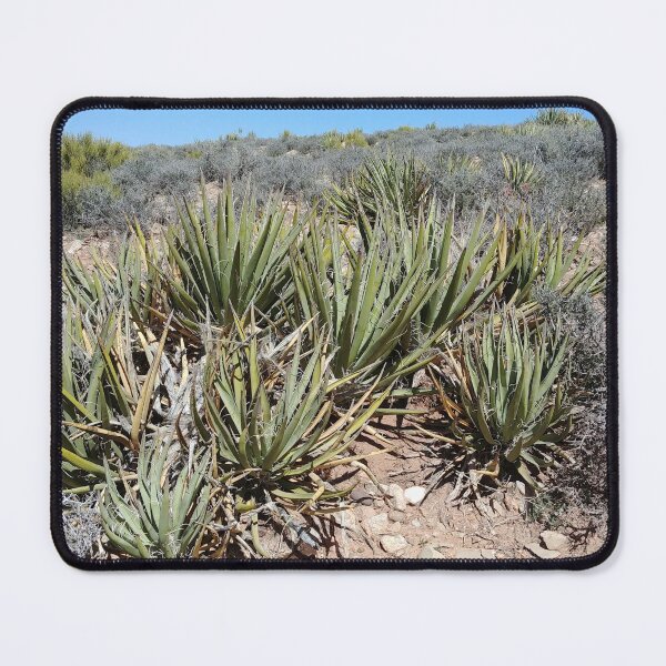 Item preview, Desert Plant designed and sold by SpilProofLiquid.