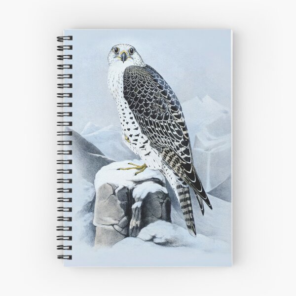 Item preview, Gyrfalcon by Joseph Wolf (modified by photo filter) designed and sold by TheCurators.