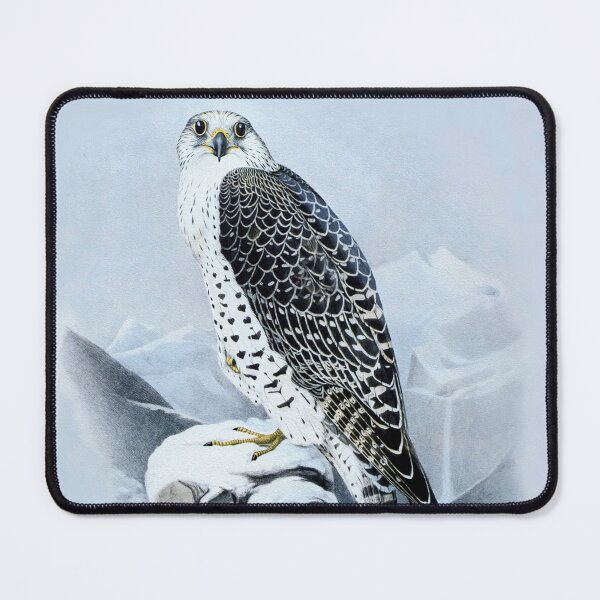 Item preview, Gyrfalcon by Joseph Wolf (modified by photo filter) designed and sold by TheCurators.