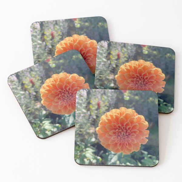 Item preview, Fall flowers designed and sold by NaturebyAdamV.
