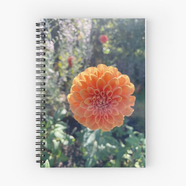 Item preview, Fall flowers designed and sold by NaturebyAdamV.