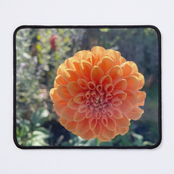 Item preview, Fall flowers designed and sold by NaturebyAdamV.