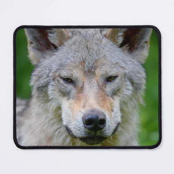 Item preview, Wolf In The Forest designed and sold by AnimalLover4eva.