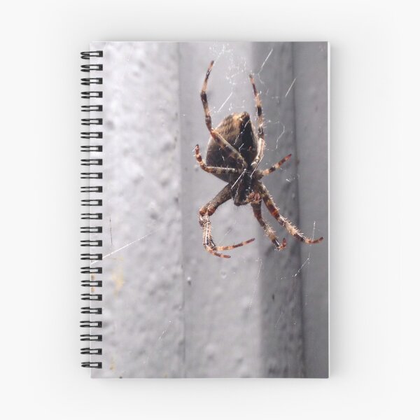 Item preview, Itsy Bitsy Spider designed and sold by Coraln.