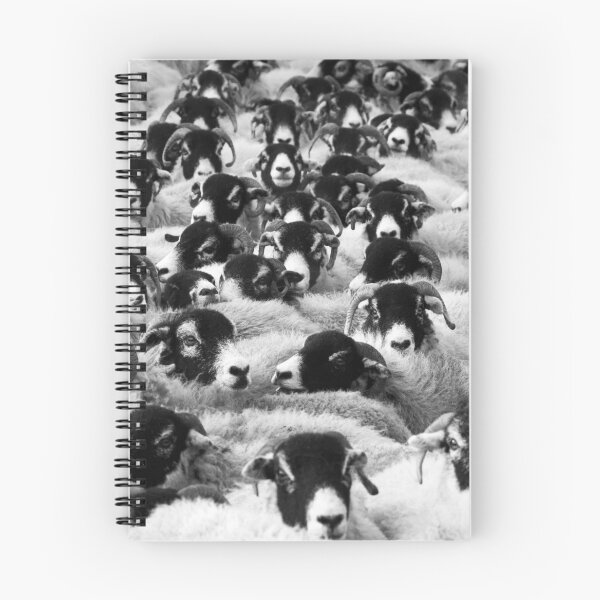 Item preview, Sheep black and white animal design wall art designed and sold by Taimoor Ali.
