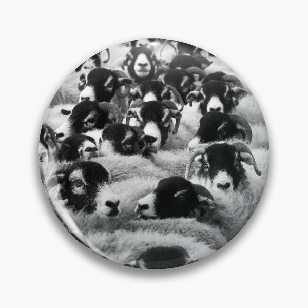 Item preview, Sheep black and white animal design wall art designed and sold by Taimoor Ali.