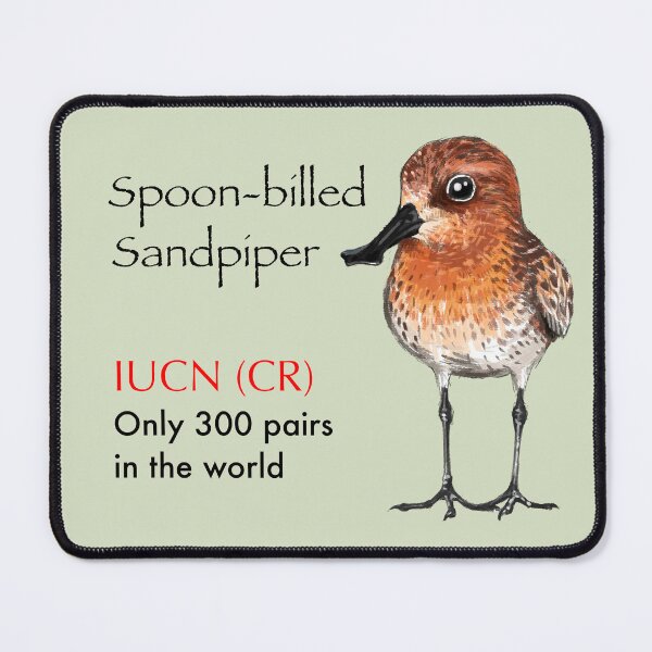 Item preview, Save the Spoon-billed Sandpiper designed and sold by LeoXiang.