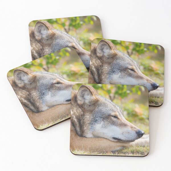 Item preview, Resting Wolf designed and sold by AnimalLover4eva.