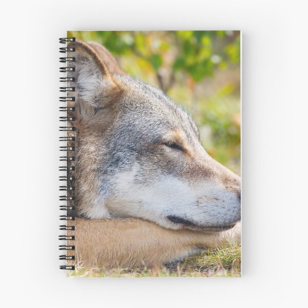 Item preview, Resting Wolf designed and sold by AnimalLover4eva.