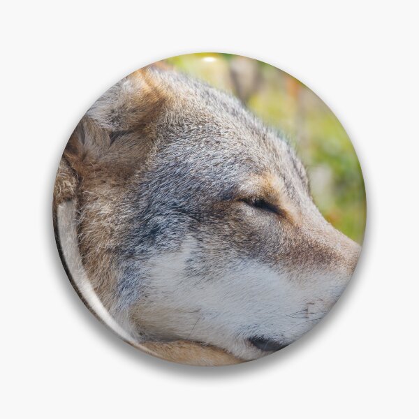 Item preview, Resting Wolf designed and sold by AnimalLover4eva.