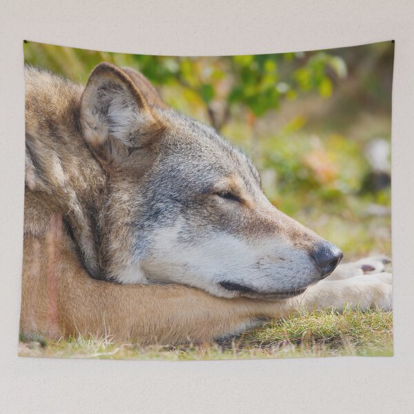 Item preview, Resting Wolf designed and sold by AnimalLover4eva.
