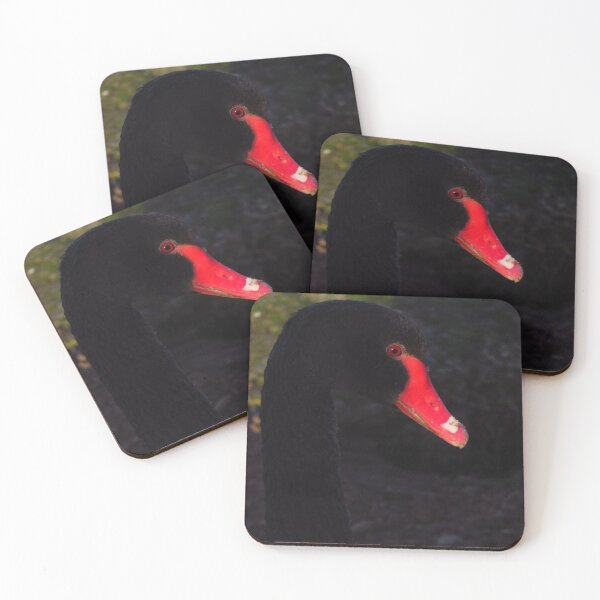 Item preview, A Profile; Cygnus Atratus ( Black Swan ) designed and sold by wiggyofipswich.
