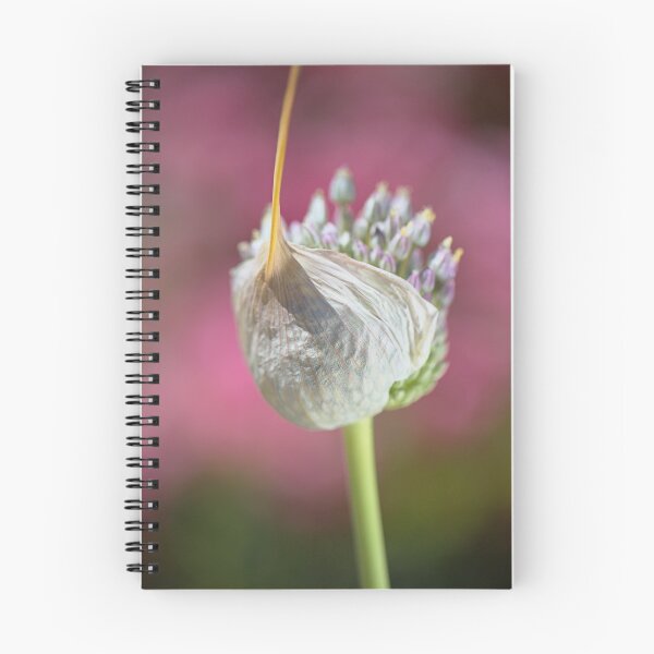 Item preview, A Stylish Hat Garlic Flower designed and sold by Joy Watson - Natural Light Photography .