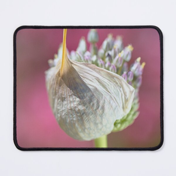 Item preview, A Stylish Hat Garlic Flower designed and sold by Joy Watson - Natural Light Photography .
