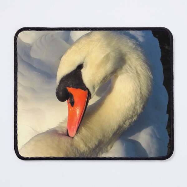 Item preview, Mute Swan ( Cygnus Olor ) designed and sold by wiggyofipswich.