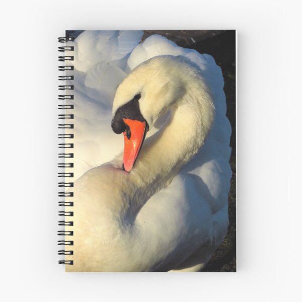 Item preview, Mute Swan ( Cygnus Olor ) designed and sold by wiggyofipswich.
