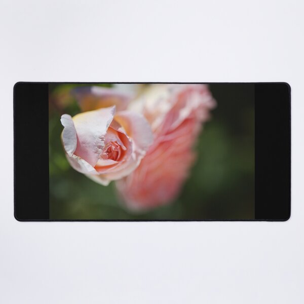 Item preview, A Rose Bud Over Bloom designed and sold by Joy Watson - Natural Light Photography .