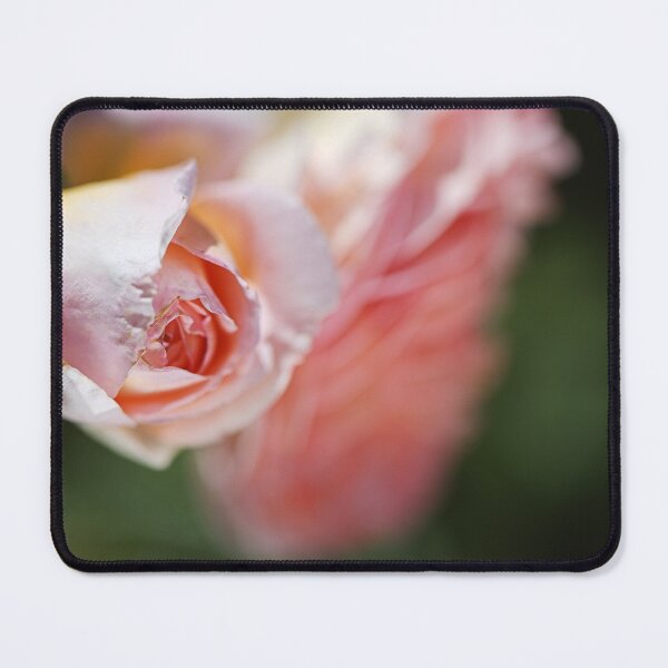 Item preview, A Rose Bud Over Bloom designed and sold by Joy Watson - Natural Light Photography .
