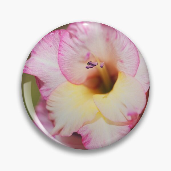 Item preview, Gladioli Flower A Sword Lily designed and sold by Joy Watson - Natural Light Photography .