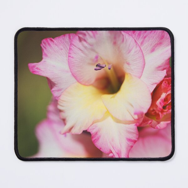 Item preview, Gladioli Flower A Sword Lily designed and sold by Joy Watson - Natural Light Photography .