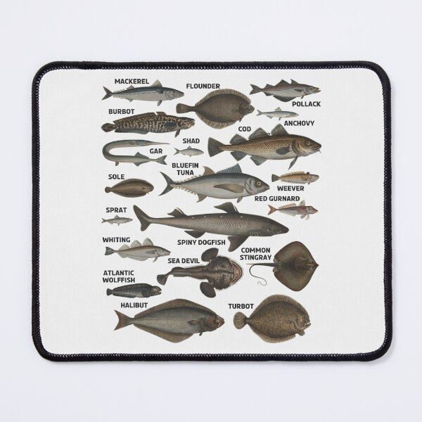 Item preview, Atlantic Fish Fishing Fisherman #1688 designed and sold by TheAplus.