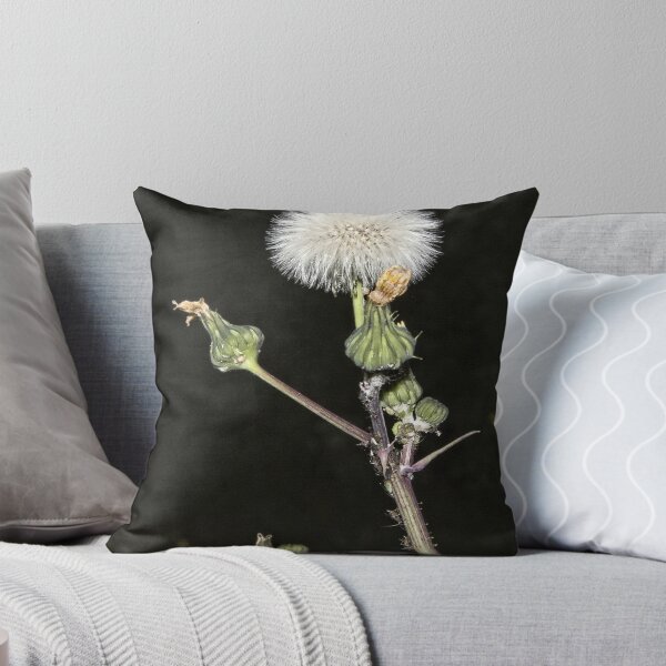 Item preview, Afternoon Play designed and sold by Wolf Sverak Photography.