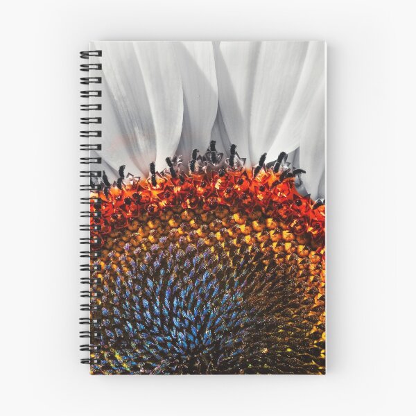 Item preview, Sunflower, redux! designed and sold by Eyal Nahmias.