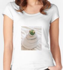 Snug Kermit Women's Fitted Scoop T-Shirt