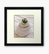 Snug Kermit Framed Print