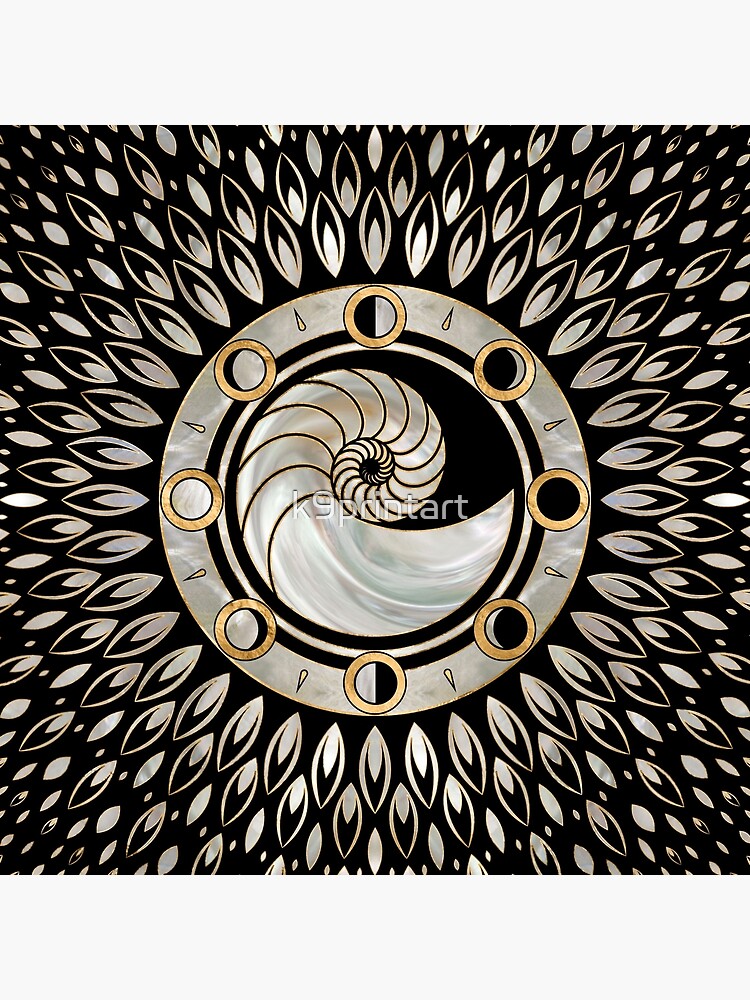 Nautilus Shell Phases Of The Moon Art Board Print By K9printart Redbubble