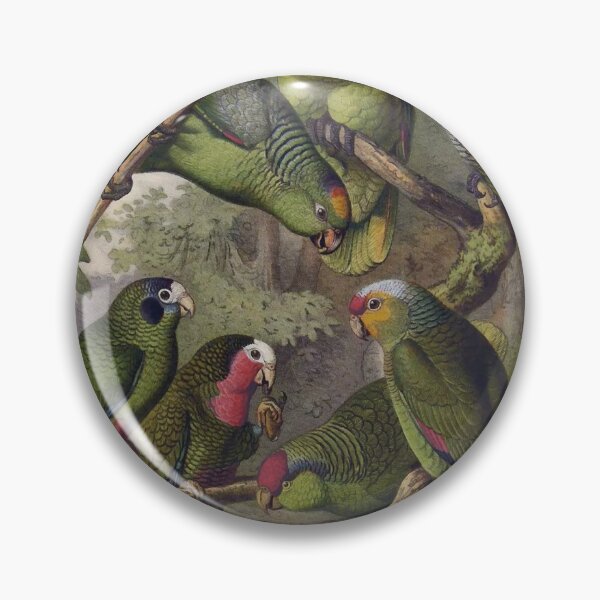 Item preview, Parrots - Vintage Science Illustration (slightly modified with photo filter) designed and sold by TheCurators.