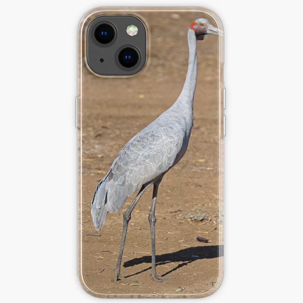 Brolga at Longreach iPhone Case
