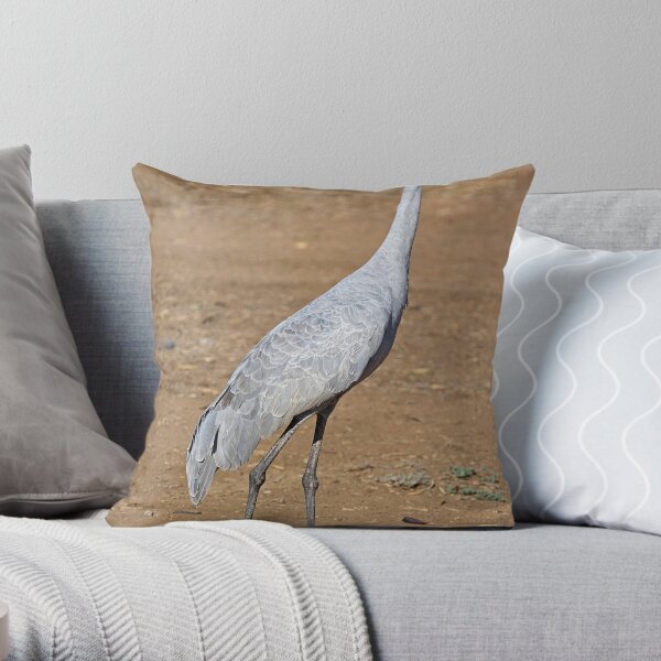 Brolga at Longreach Throw Pillow