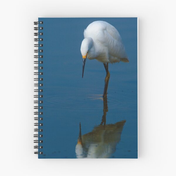 Item preview, Snowy Egret (Egretta thula) designed and sold by Eyal Nahmias.