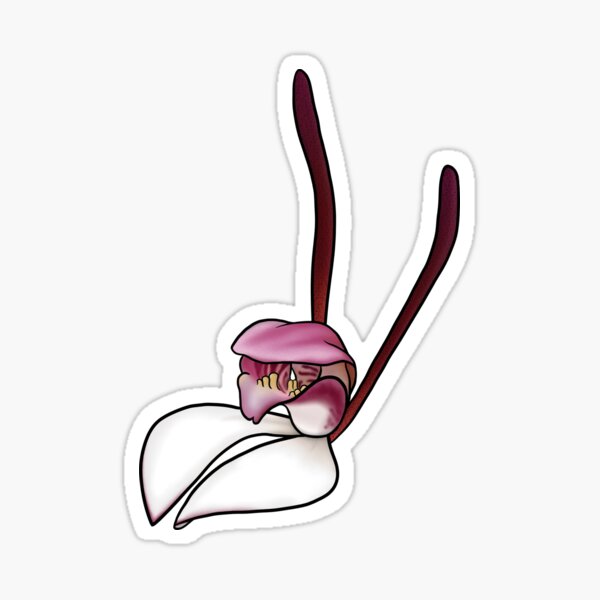 Item preview, Rabbit Orchid  designed and sold by JoWillmot.
