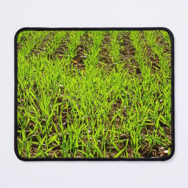 Item preview, grass photo simple aesthetic green field summer designed and sold by artirio.