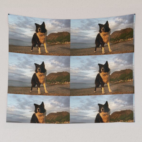 Item preview, An Old Seadog. designed and sold by Michael Haslam.