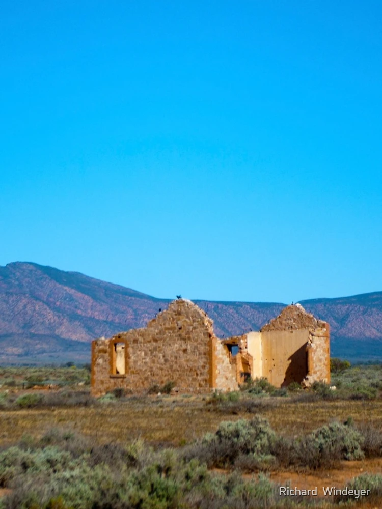 Imagen 4 de 4, Funda de Samsung Galaxy con la obra Flinders Ranges, diseñada y vendida por Richard Windeyer.