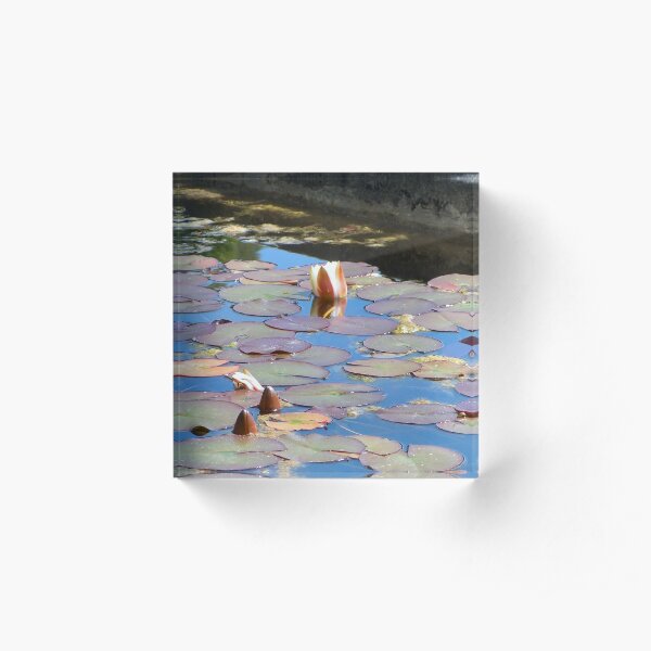 Parceval House garden Yorkshire revealed more Acrylic Block