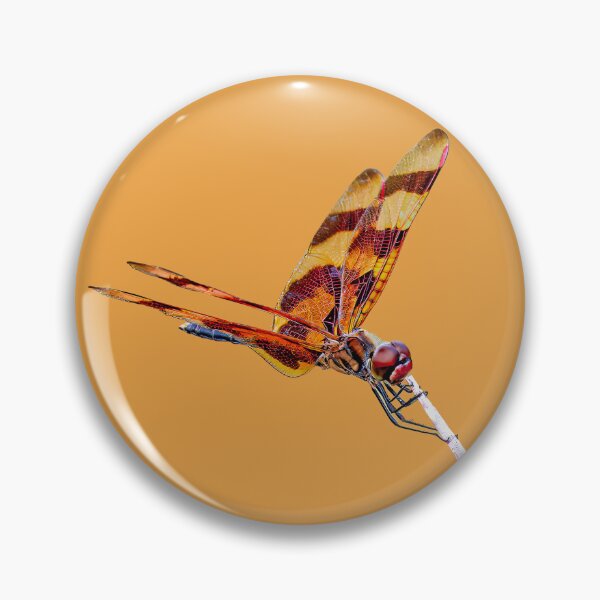 Item preview, Halloween pennant dragonfly posing on a stick designed and sold by Dalyndigital Photography.