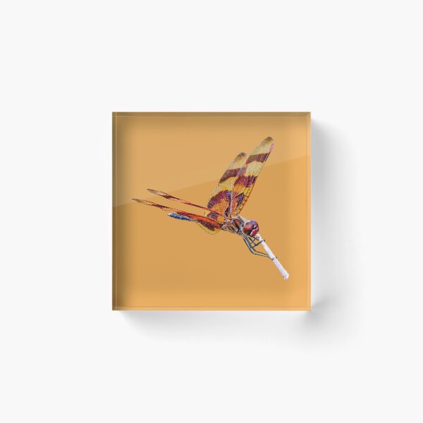 Item preview, Halloween pennant dragonfly posing on a stick designed and sold by Dalyndigital Photography.