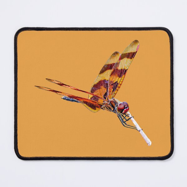 Item preview, Halloween pennant dragonfly posing on a stick designed and sold by Dalyndigital Photography.