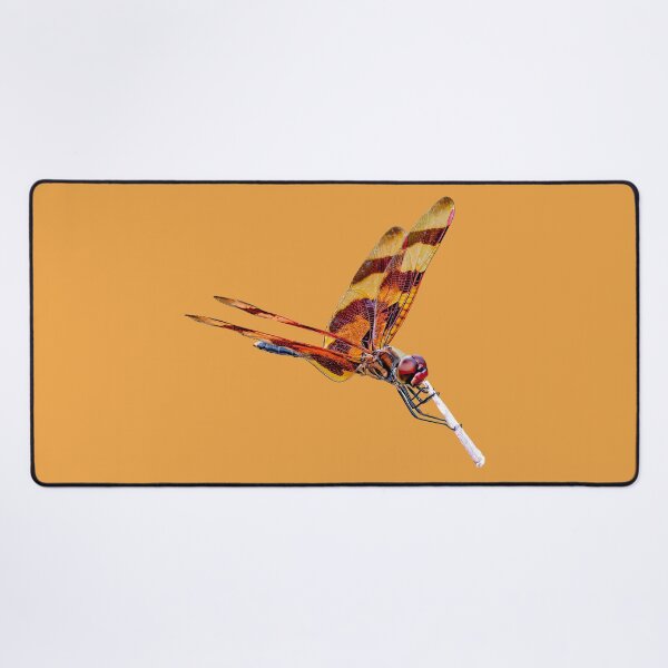 Item preview, Halloween pennant dragonfly posing on a stick designed and sold by Dalyndigital Photography.