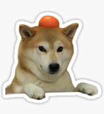 Orange Hat Shiba Sticker