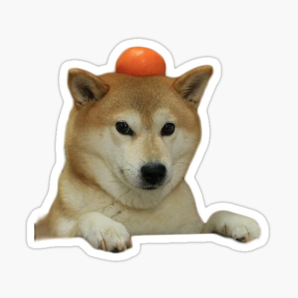 Orange Hat Shiba Sticker