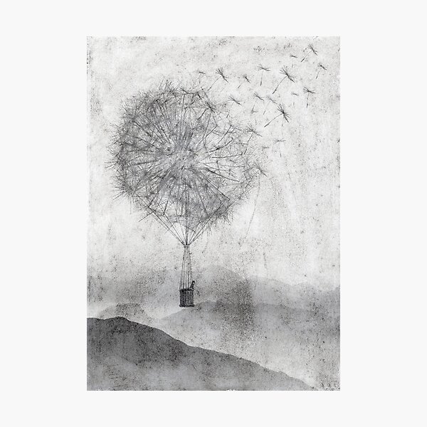 Dandelion Daydream Photographic Print